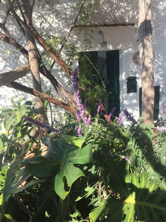 Casa Rosetta Villa ปรายาโน ภายนอก รูปภาพ